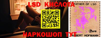 индика Дубна