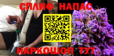 индика Дубна