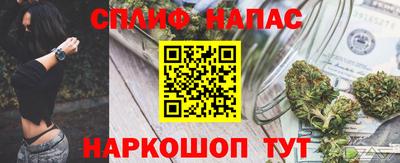 индика Дубна