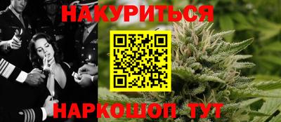 индика Дубна