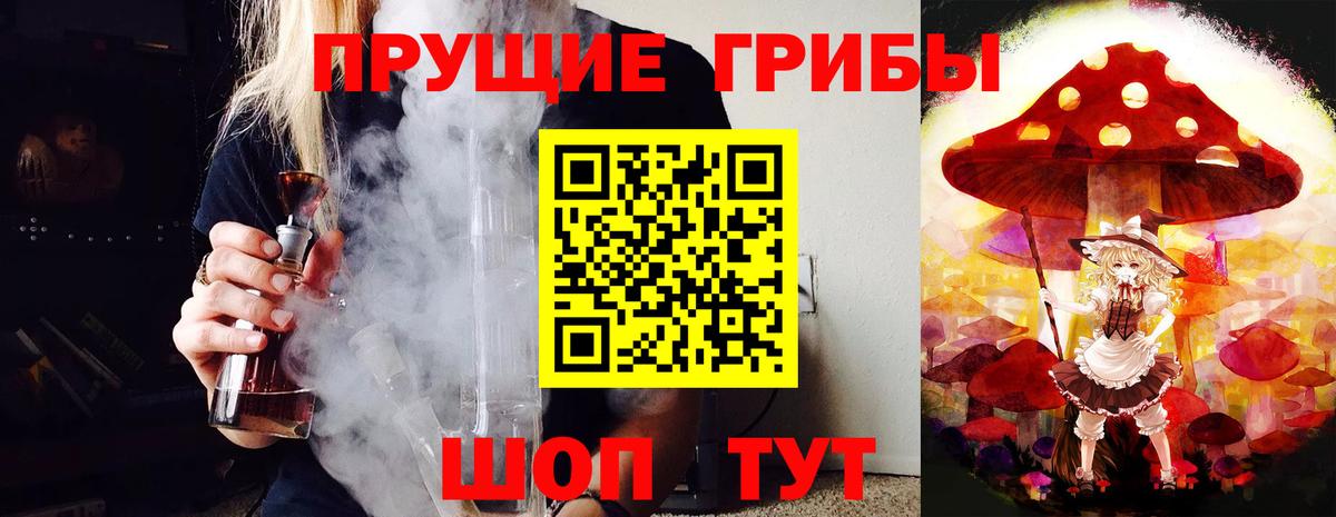 Псилоцибиновые грибы Psilocybine cubensis Мичуринск
